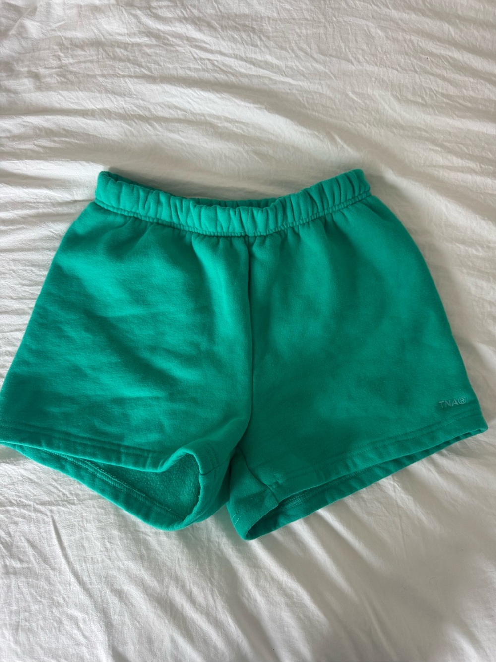 Aritzia TNA sweatshorts